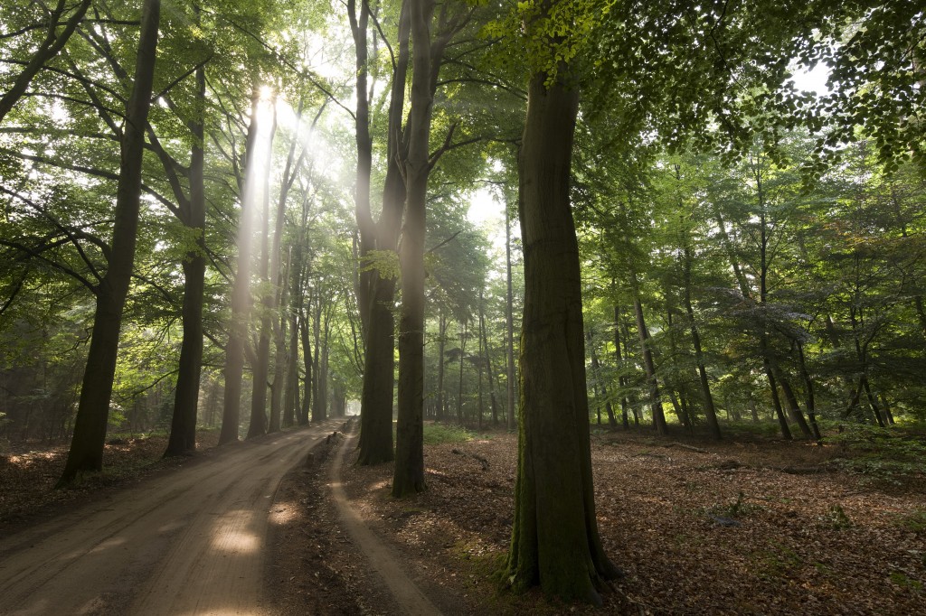 Stichting IJssellandschap