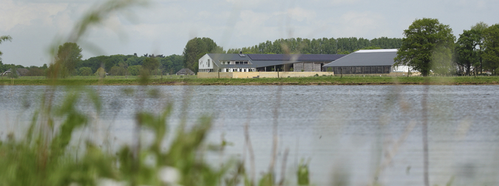 KEIZERSRANDE BEZIEN VAN DE OVERKANT
