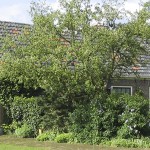 KRANENKAMP BOERDERIJ