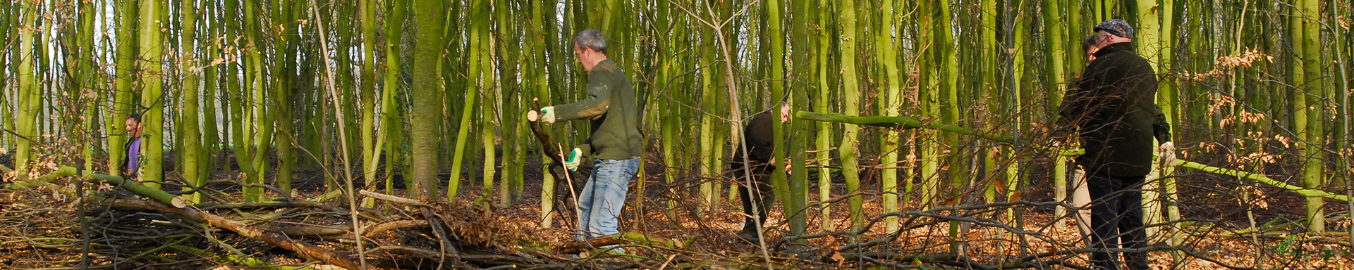 Vrijwilligers_slider