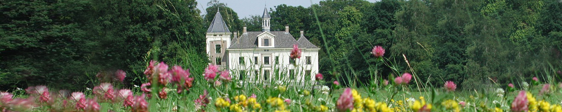 SLIDER-De haere in het groen