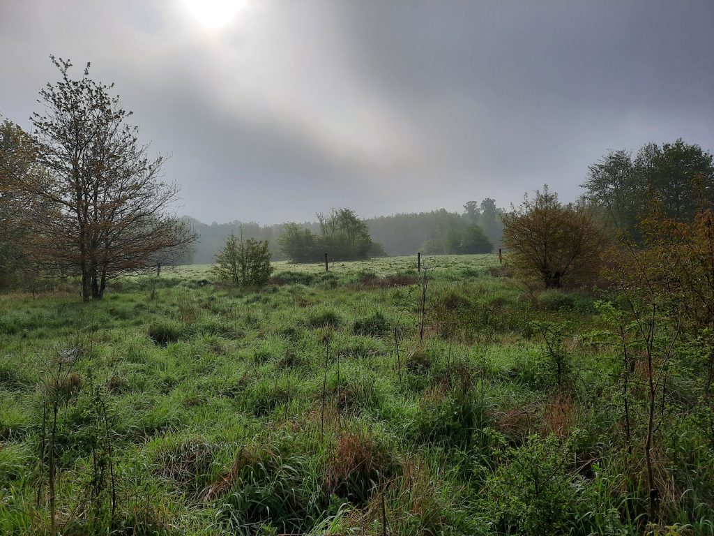 'T Nijendal, Hanzebos